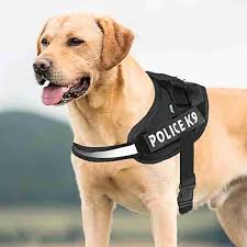 Personalized Custom Reflective Breathable Dog Harness  1