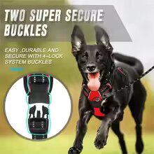 Personalized Custom Reflective Breathable Dog Harness  