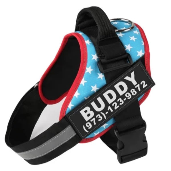 Personalized Custom Reflective Breathable Dog Harness 